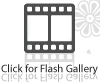 Click here to view the Flash Photo Gallery