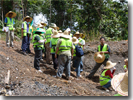 Stratigraphy of NW-Sarawak (Geological Field Trip)
