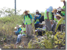 Field Geological in NW-Sarawak for SKG09 Level 1 Integrated Module