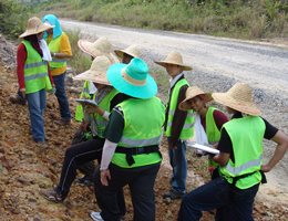 Outcrops Rh. Banyang